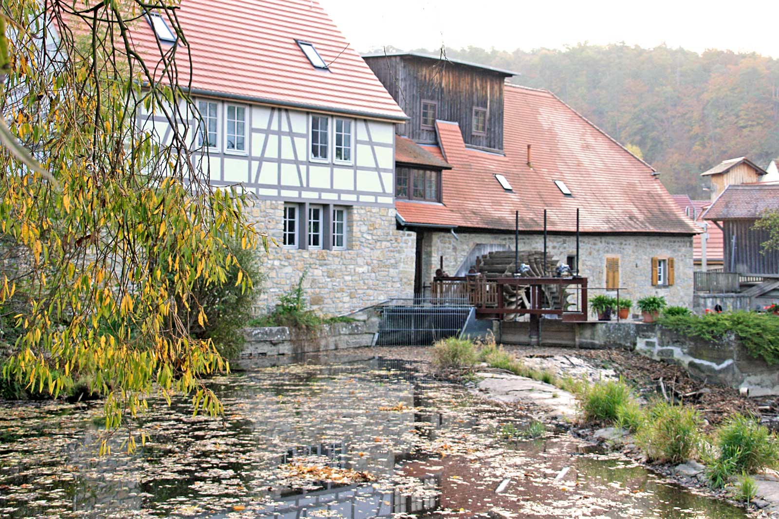 Buchfarter Mühle | Buchfart